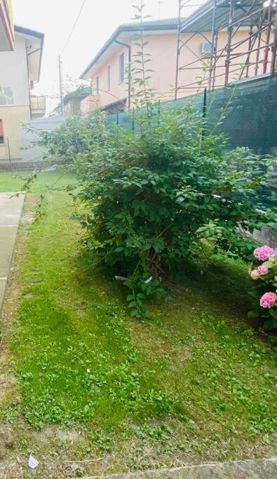 “Casa Alex” A Pochi Km Dal Mare Villa Scardovari Kültér fotó